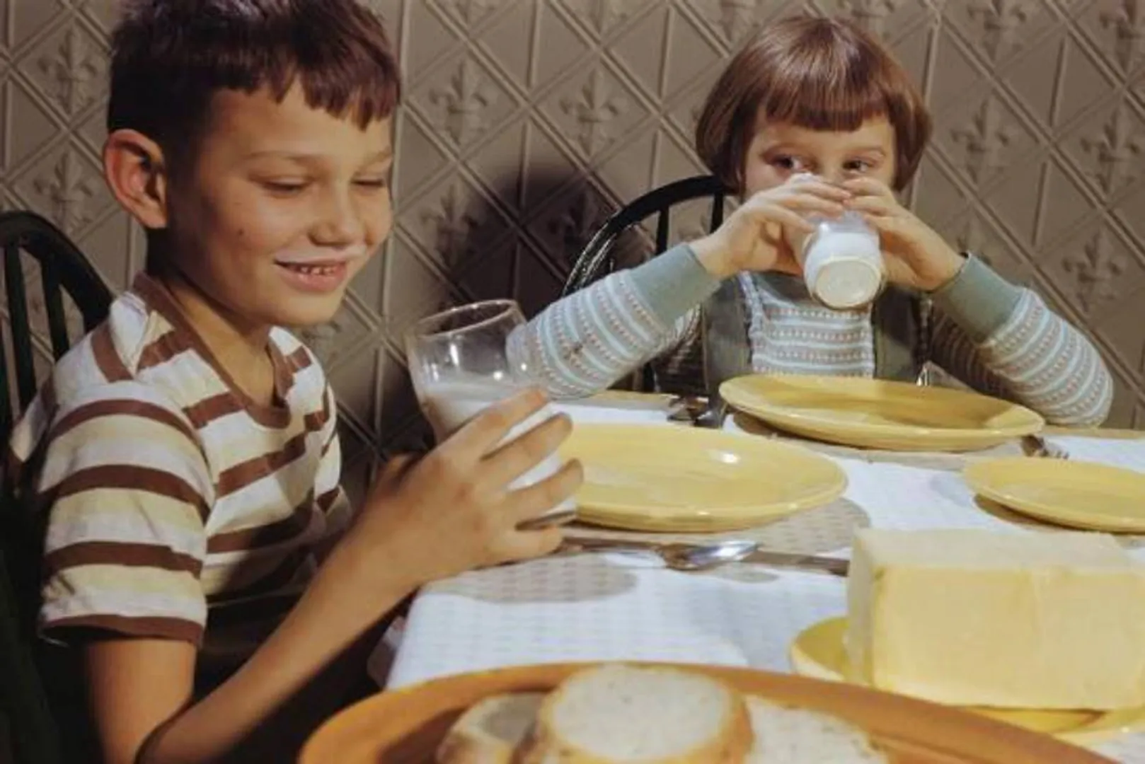 healthy food milk